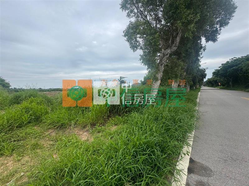 金沙鎮|光華路第一排優質農地房屋室內格局與周邊環境