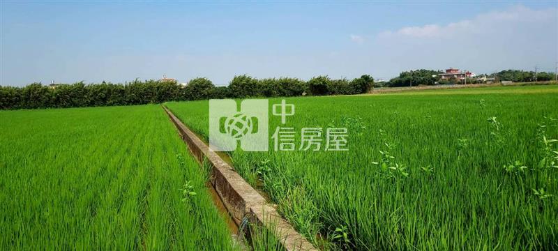 新屋方正美農地(B地)房屋室內格局與周邊環境