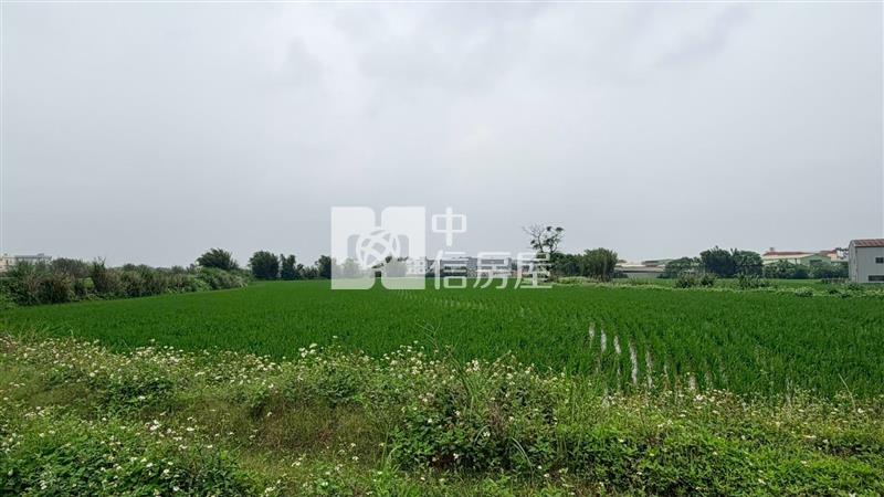 【新世紀】近新屋公所特農房屋室內格局與周邊環境