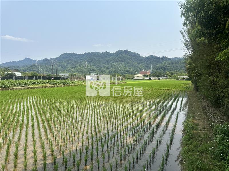 大溪 8米路旁方正農地房屋室內格局與周邊環境
