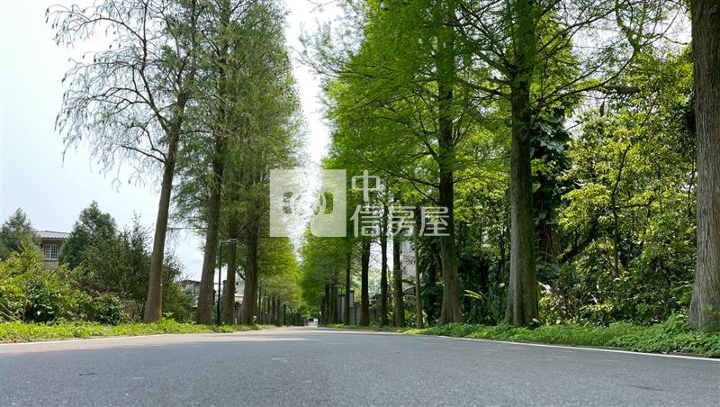 大溪落羽松小坪數一般農地房屋室內格局與周邊環境