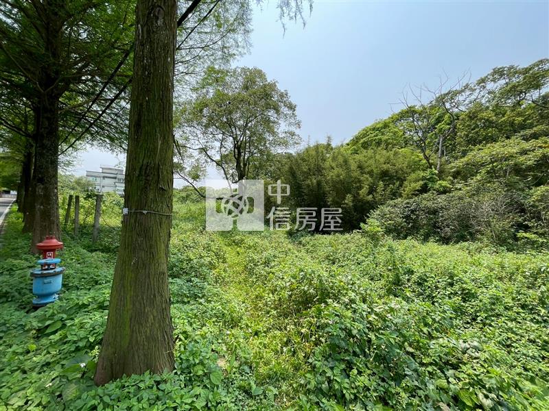 大溪落羽松小坪數一般農地房屋室內格局與周邊環境