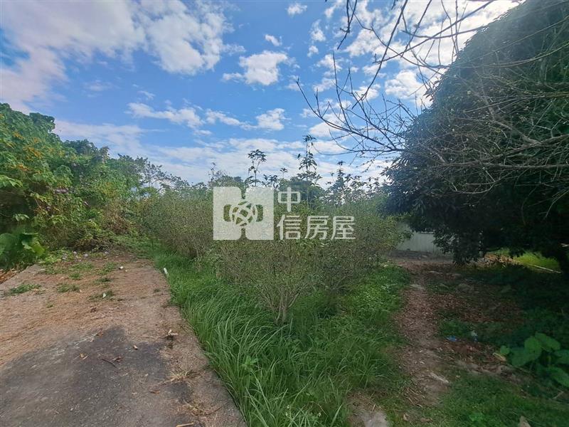 草屯大面寬農地- 荔枝園房屋室內格局與周邊環境