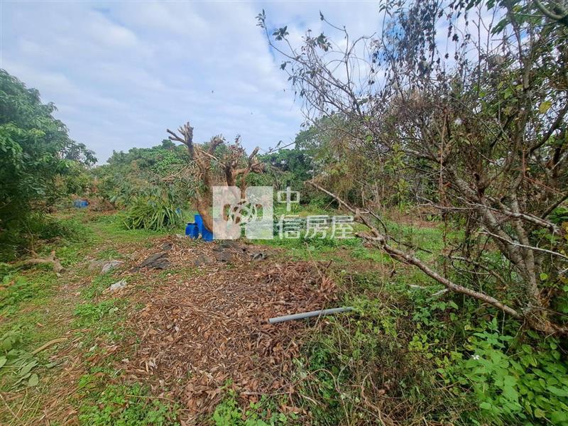 草屯大面寬農地- 荔枝園房屋室內格局與周邊環境