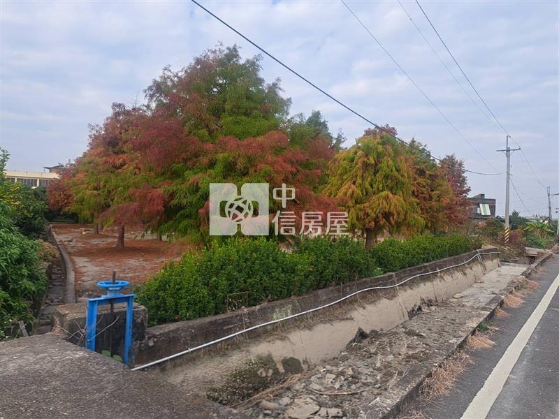 草屯大面寬農地- 荔枝園房屋室內格局與周邊環境