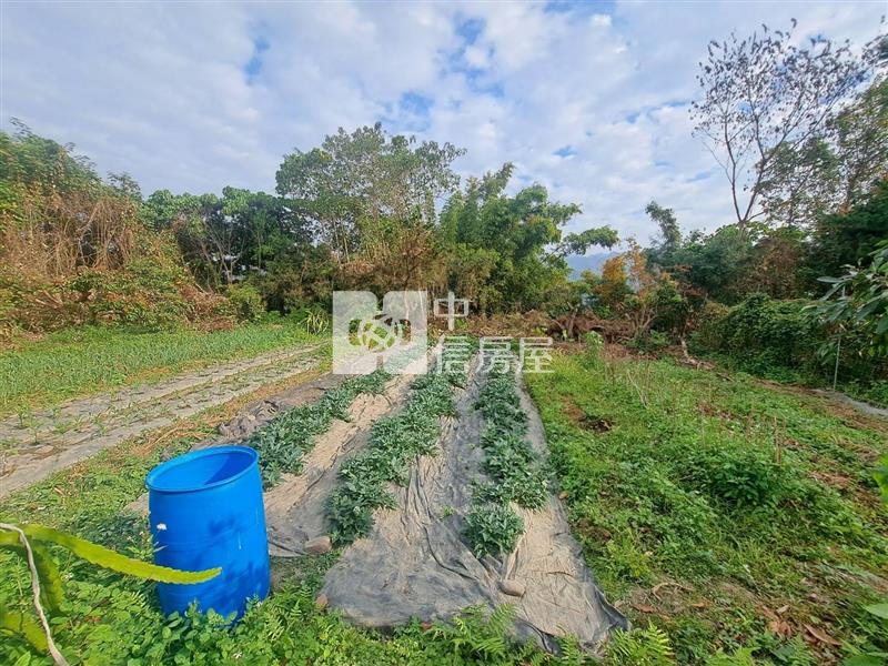 草屯大面寬農地- 荔枝園房屋室內格局與周邊環境
