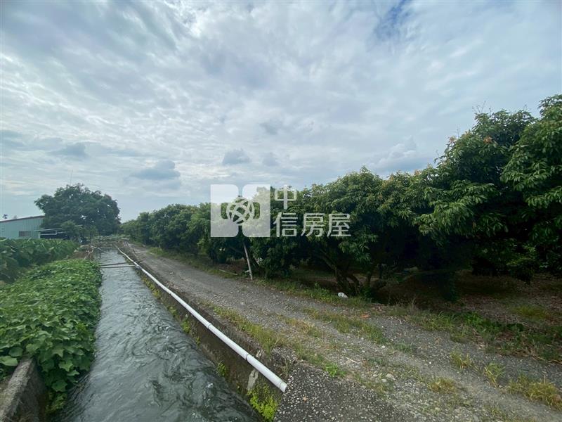 草屯大面寬農地- 荔枝園房屋室內格局與周邊環境