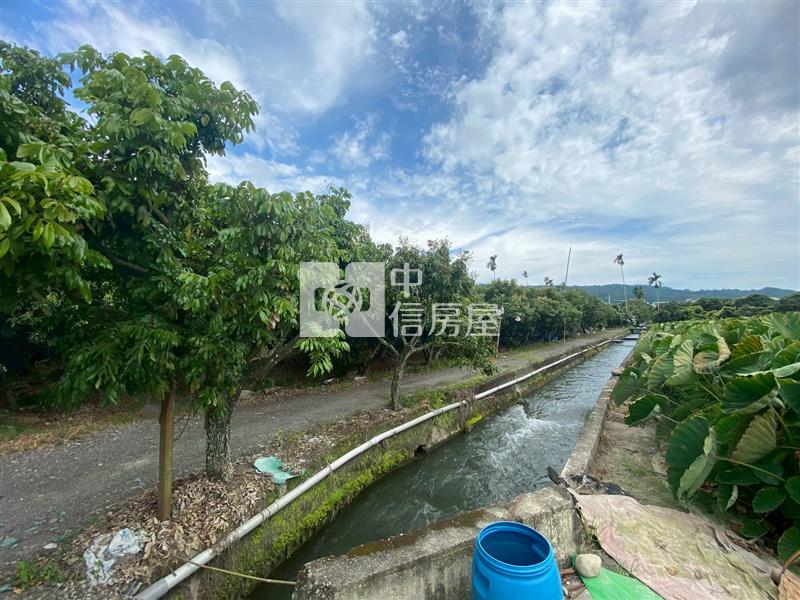 草屯大面寬農地- 荔枝園房屋室內格局與周邊環境