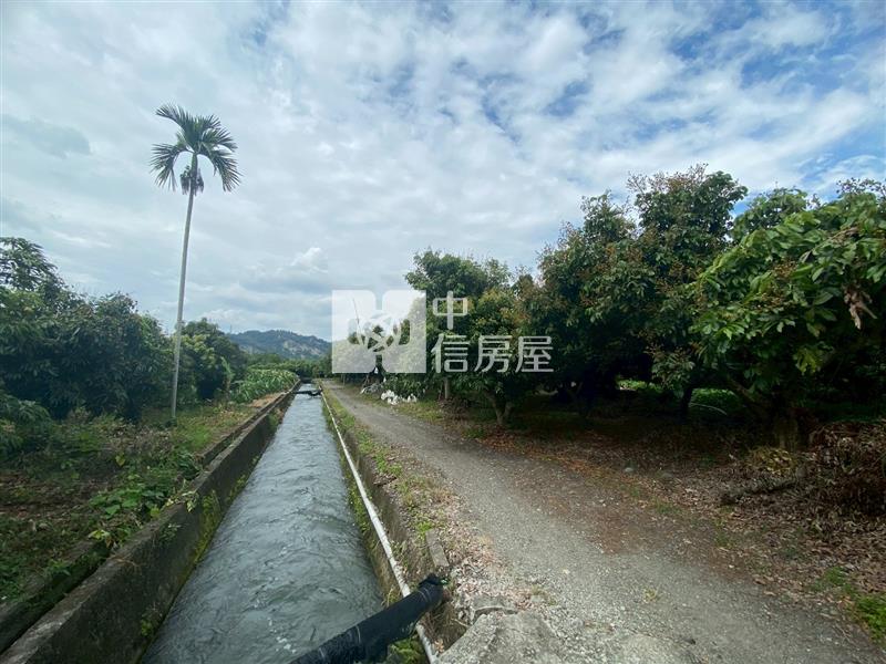 草屯大面寬農地- 荔枝園房屋室內格局與周邊環境