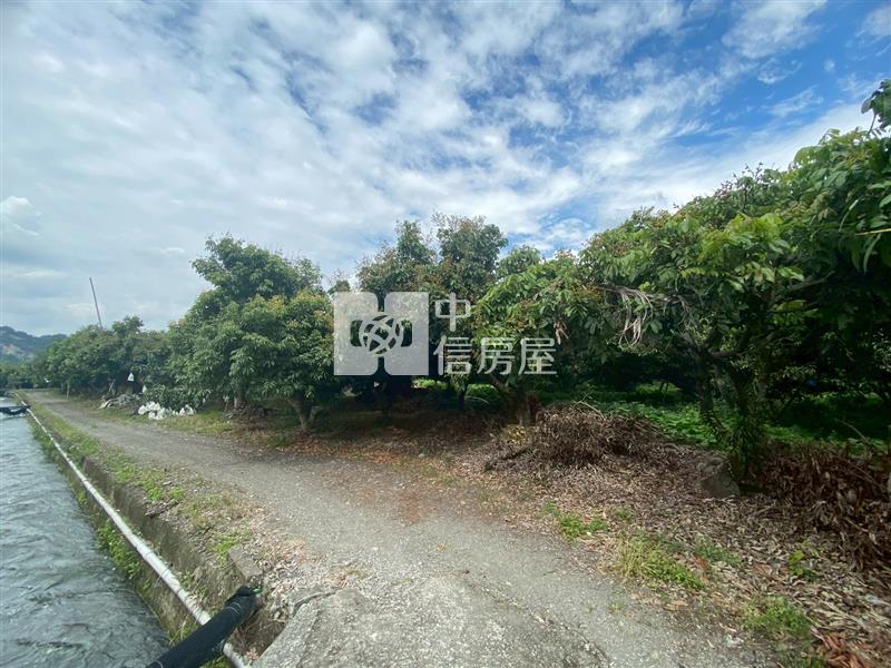 草屯大面寬農地- 荔枝園房屋室內格局與周邊環境