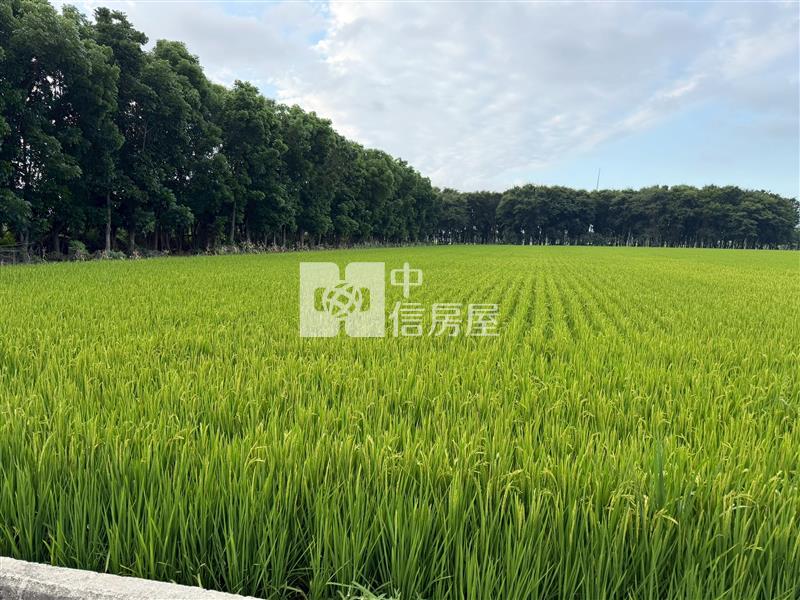 崙背貓兒干農地房屋室內格局與周邊環境