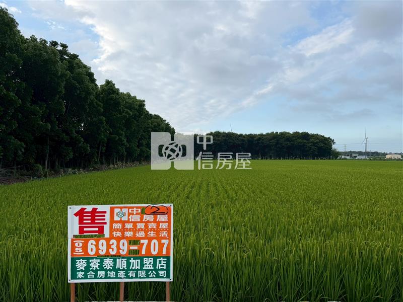 崙背貓兒干農地房屋室內格局與周邊環境
