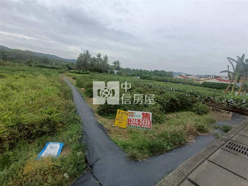 高雄旗山大林農地房屋室內格局與周邊環境