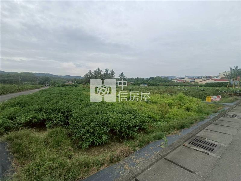 高雄旗山大林農地房屋室內格局與周邊環境