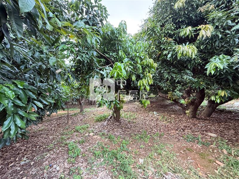 弘光科大旁大面寬建地(專任)房屋室內格局與周邊環境