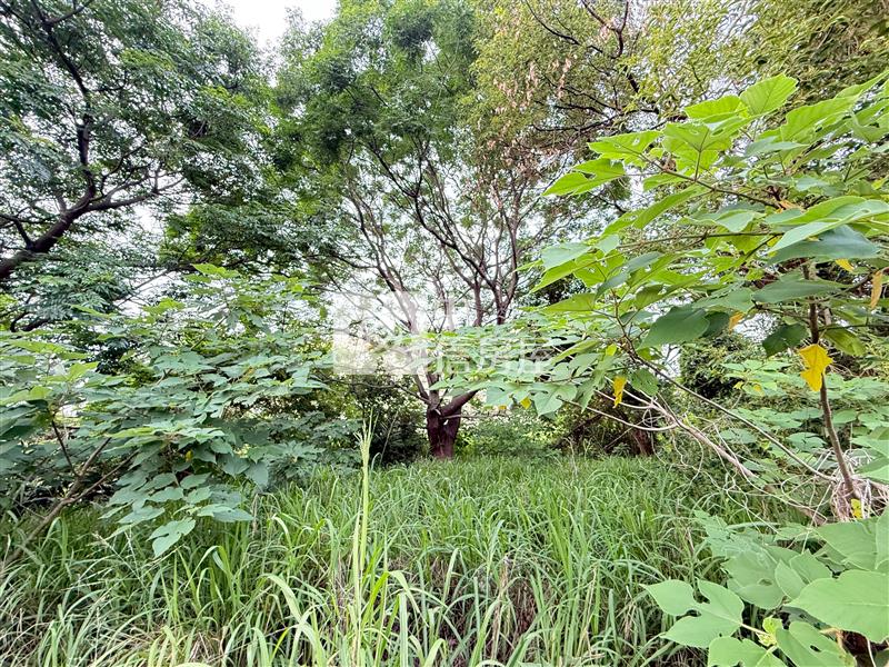 弘光科大旁大面寬建地(專任)房屋室內格局與周邊環境