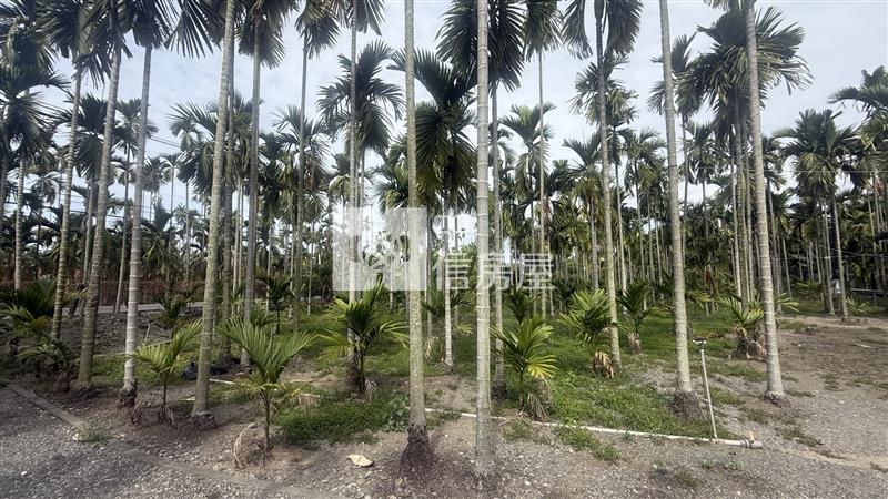 成德漂亮農地房屋室內格局與周邊環境