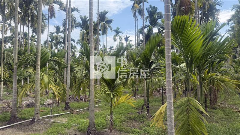 成德漂亮農地房屋室內格局與周邊環境