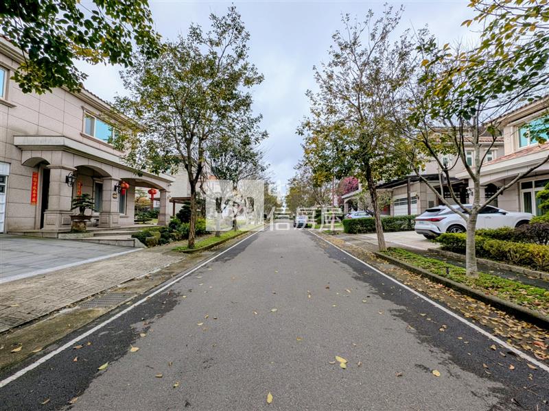 楊梅青鼎帝悅獨棟莊園別墅,前庭後院,玻璃屋花園房屋室內格局與周邊環境