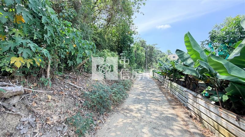 燕巢絕版稀有山林農地房屋室內格局與周邊環境