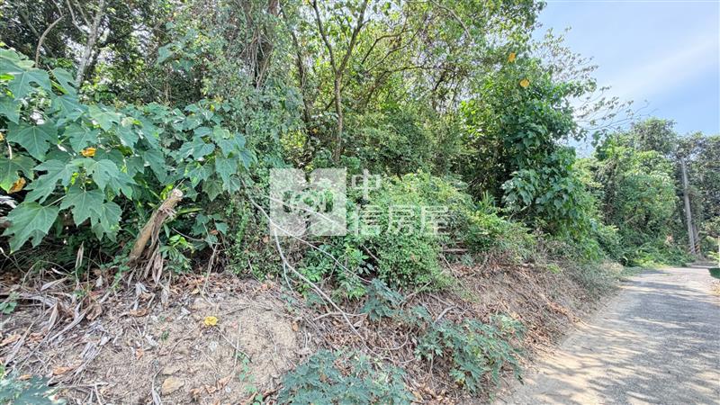 燕巢絕版稀有山林農地房屋室內格局與周邊環境