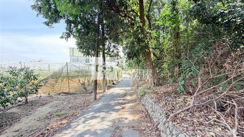 燕巢絕版稀有山林農地房屋室內格局與周邊環境