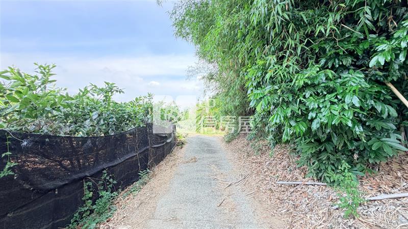 燕巢絕版稀有山林農地房屋室內格局與周邊環境