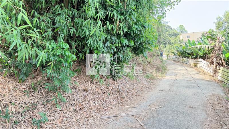 燕巢絕版稀有山林農地房屋室內格局與周邊環境