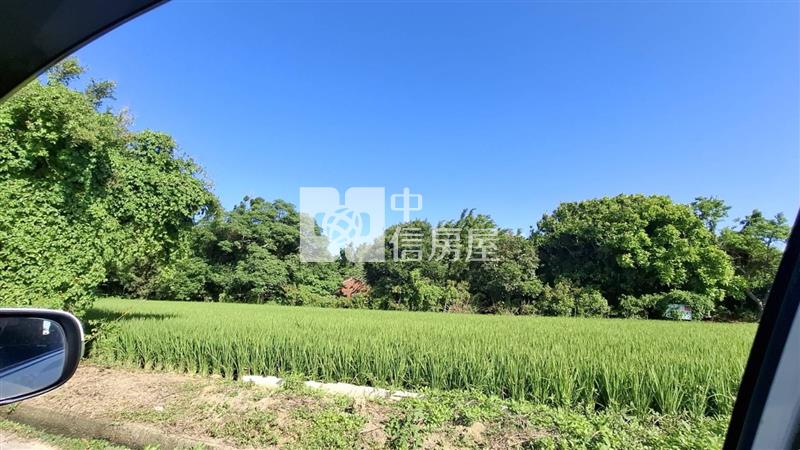 大坡國小稀有甲種建築用地(賣持分)房屋室內格局與周邊環境