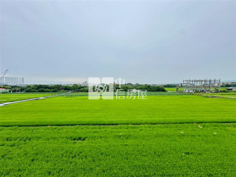 獨家!大漁全新田園別墅房屋室內格局與周邊環境