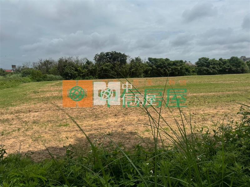 金城鎮小西門方正農地房屋室內格局與周邊環境