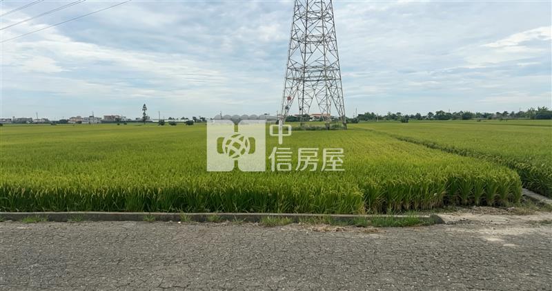 新港臨路大坪數農地房屋室內格局與周邊環境