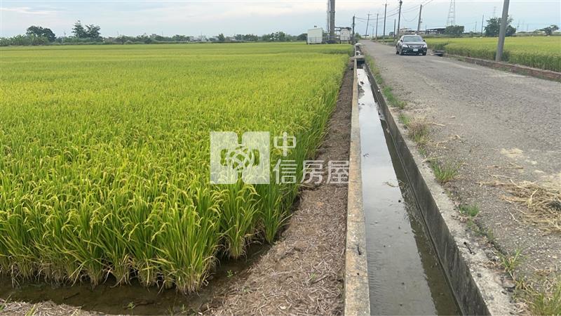 新港臨路大坪數農地房屋室內格局與周邊環境
