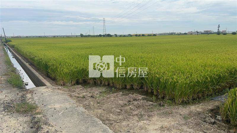 新港臨路大坪數農地房屋室內格局與周邊環境