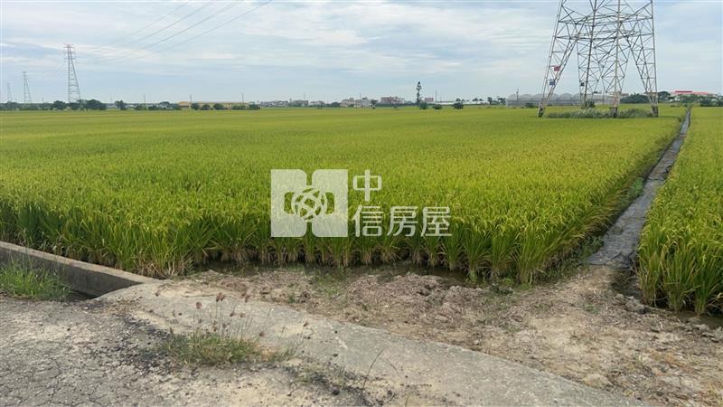 新港臨路大坪數農地房屋室內格局與周邊環境