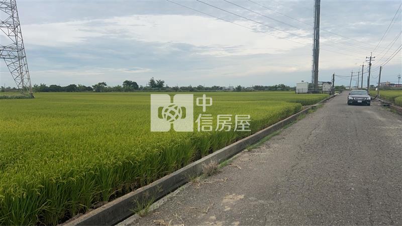新港臨路大坪數農地房屋室內格局與周邊環境
