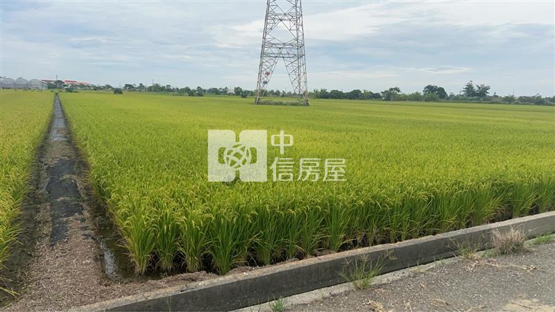 新港臨路大坪數農地房屋室內格局與周邊環境