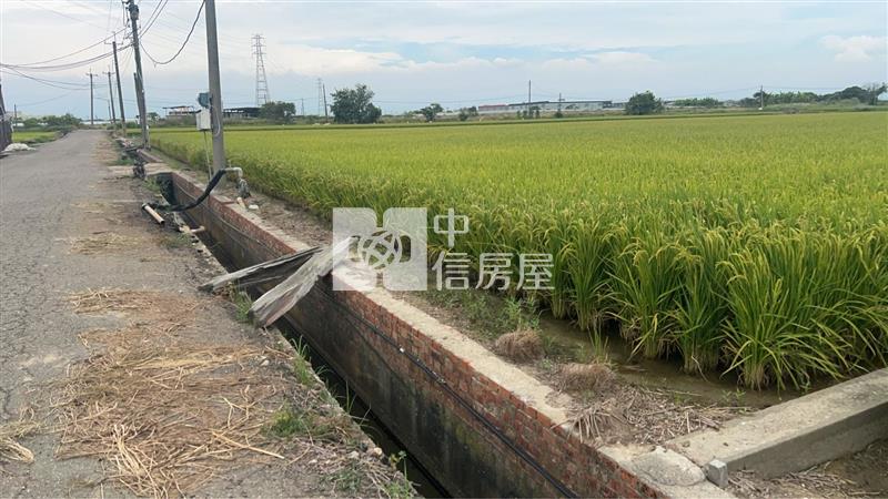 新港千坪美農地房屋室內格局與周邊環境