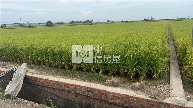 新港千坪美農地房屋室內格局與周邊環境