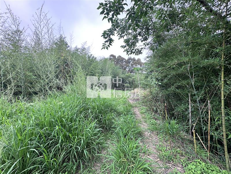 后里圳寮山坡地房屋室內格局與周邊環境