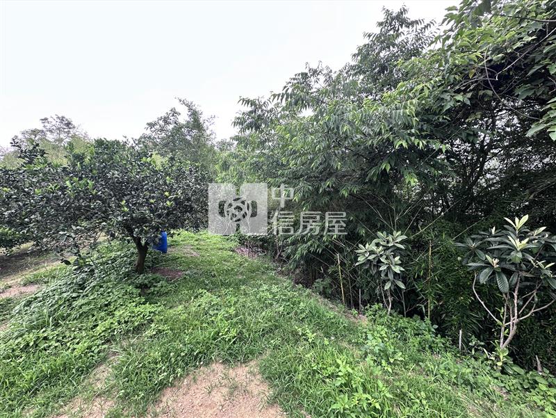 后里圳寮山坡地房屋室內格局與周邊環境