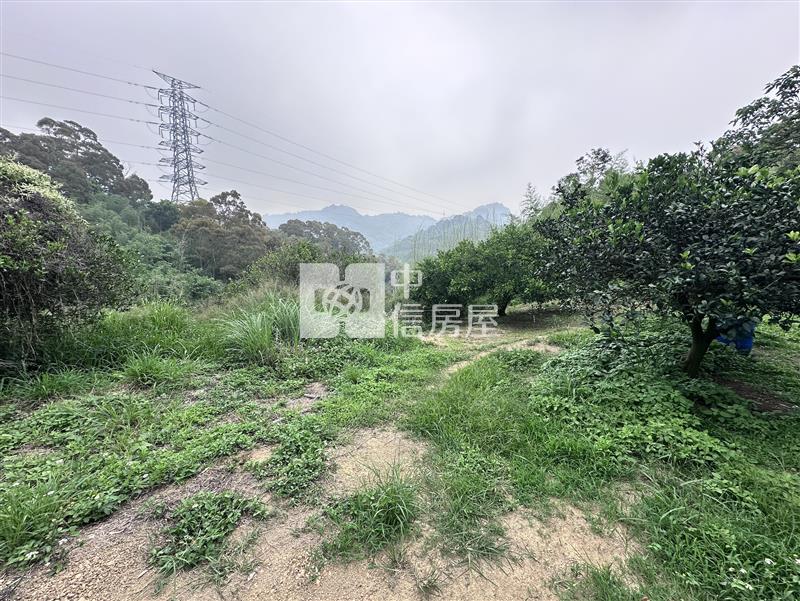 后里圳寮山坡地房屋室內格局與周邊環境