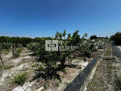 埤頭火龍果芭樂園房屋室內格局與周邊環境
