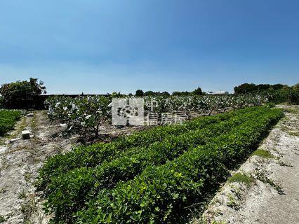埤頭火龍果芭樂園房屋室內格局與周邊環境