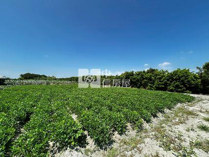 埤頭火龍果芭樂園房屋室內格局與周邊環境