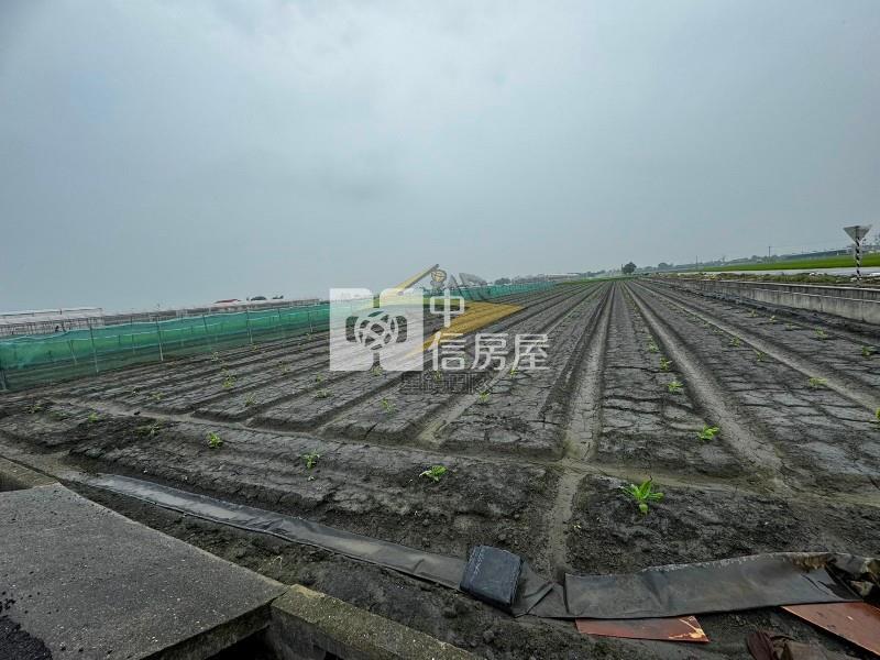 【星鑽】(專委)雲林莿桐雙面路方正美農地房屋室內格局與周邊環境