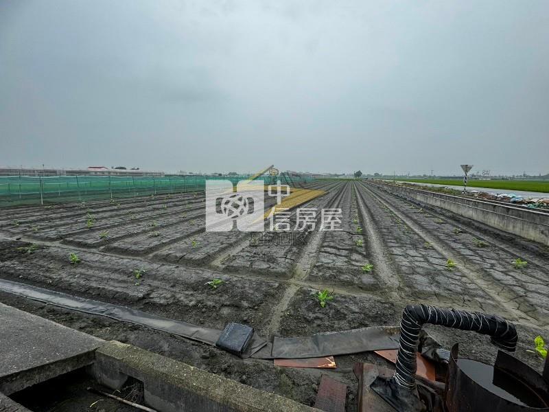 【星鑽】(專委)雲林莿桐雙面路方正美農地房屋室內格局與周邊環境
