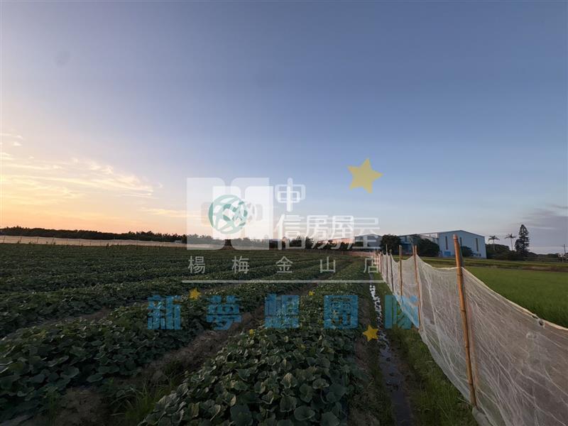 【新夢想】新屋近反恐訓練中心農地房屋室內格局與周邊環境