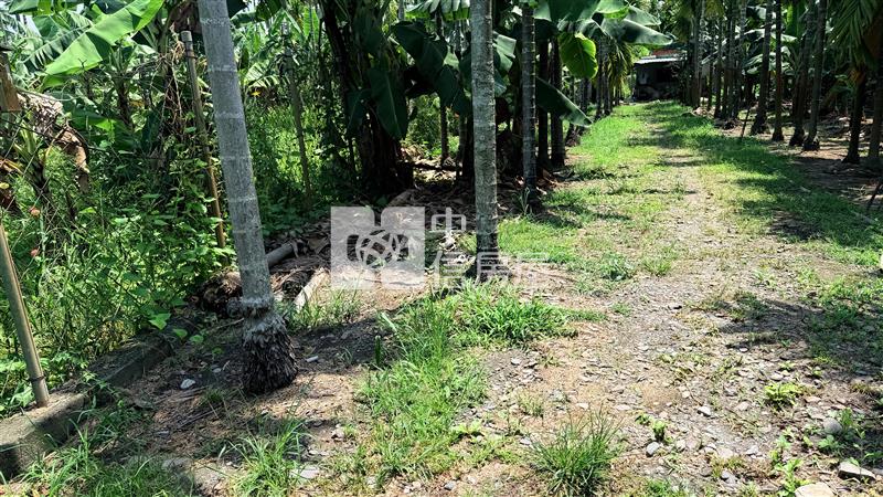 內埔大面積都計農地