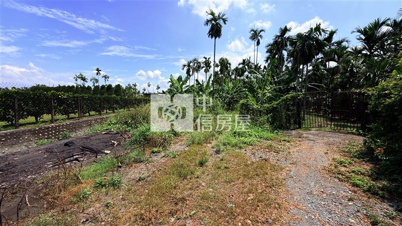 內埔大面積都計農地房屋室內格局與周邊環境